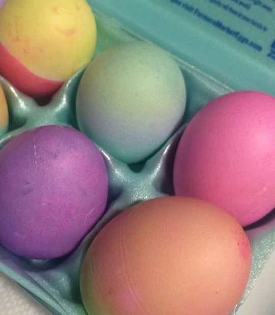 10380279_10208147611401723_9087284016376116019_n (2)