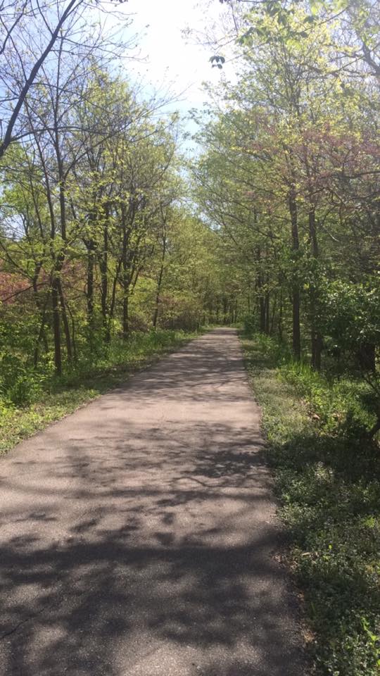 13220903_10208660374460479_8462549562327482173_n