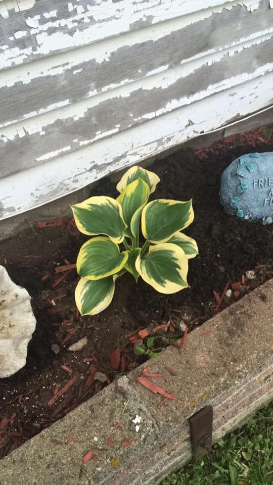 13233069_10208660373100445_6376742678435492830_n