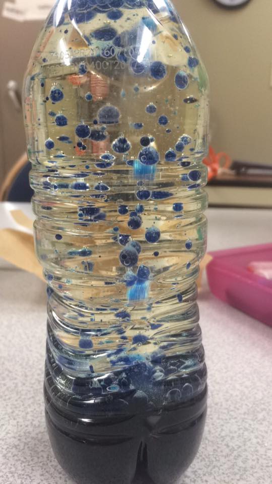 13254291_10208694772400406_7928077666295951236_n