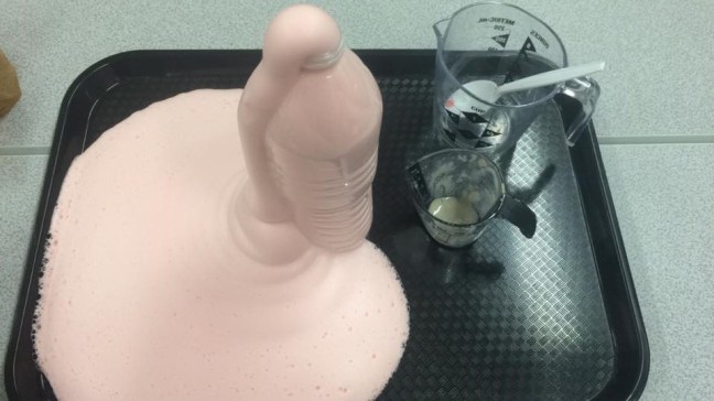 13315512_10208694771560385_8944160860985221878_n