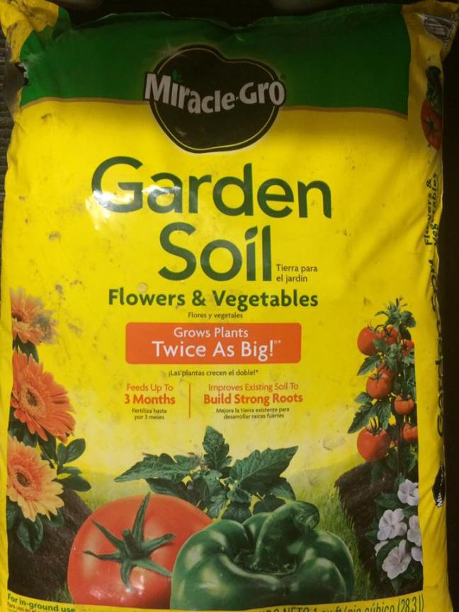 13321642_10208694970845367_624969494155270318_n