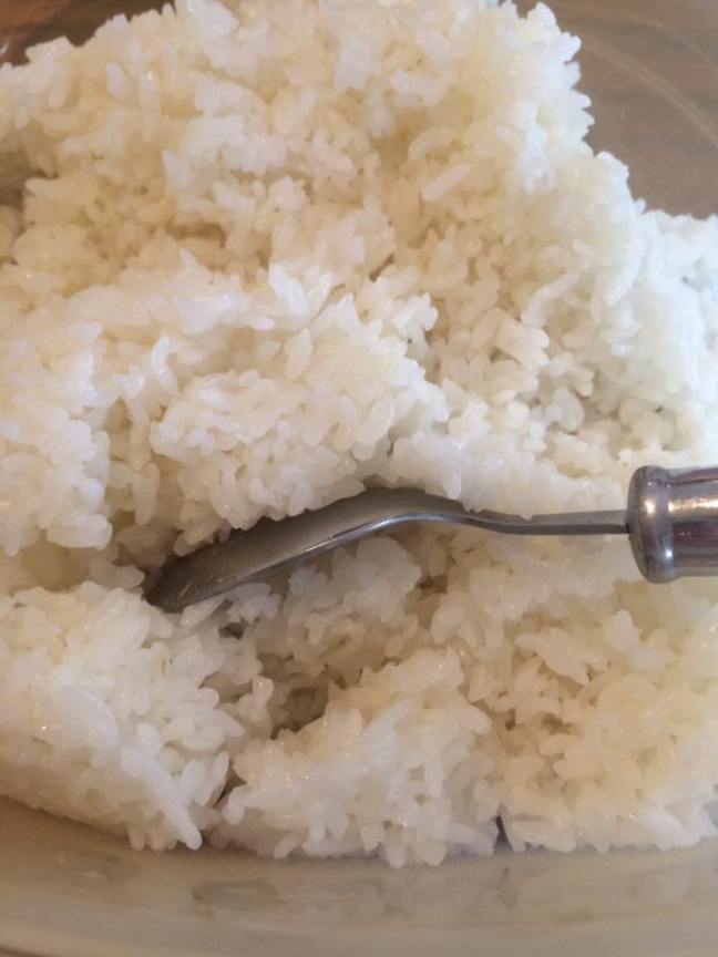 13332945_10208783201571080_8387669327307085217_n