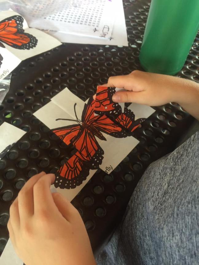 13606719_1112498095456121_8148917576176638223_n