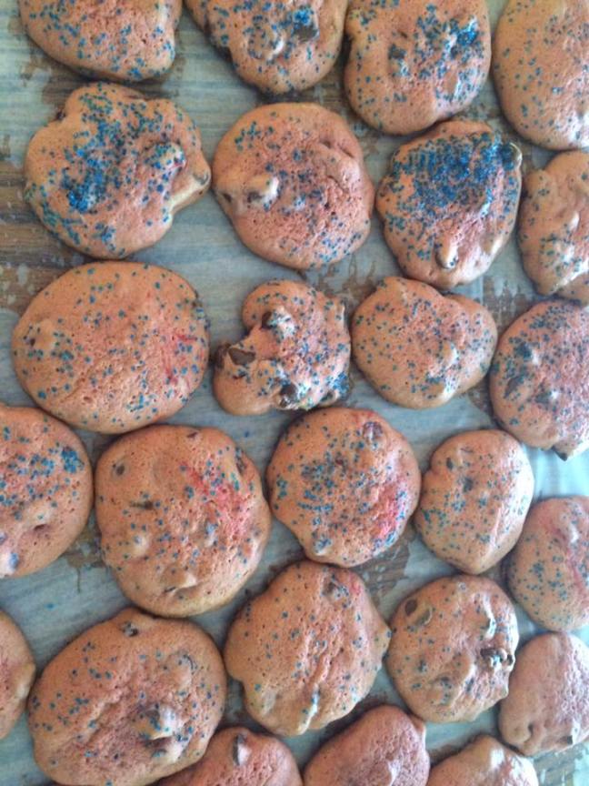 13606847_10208993520788929_5576262828332595934_n