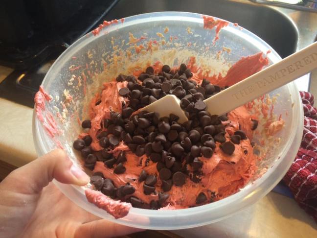 13620012_10208993521108937_7374116539205697010_n