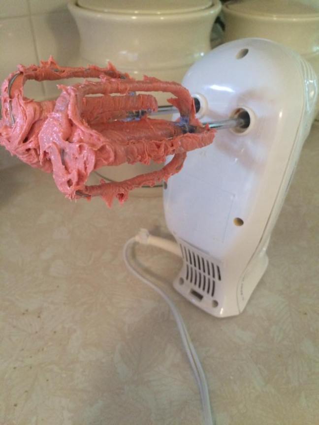 13620205_10208993521228940_1048545259398290417_n