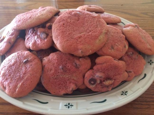 13620267_10208993520668926_5471914305081549068_n