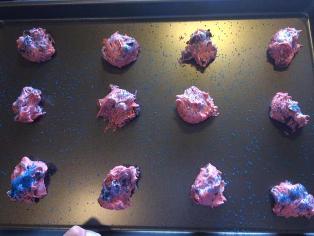 13625384_10208993520948933_5097435202747431702_n