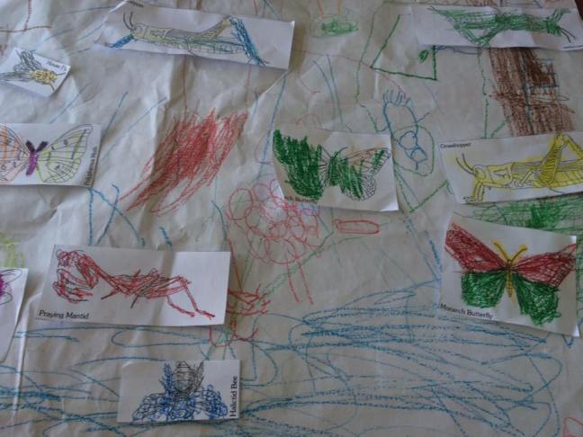 13626444_1111894648849799_6965992888854371357_n