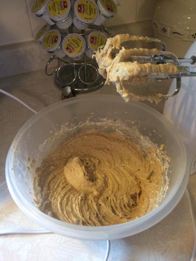 13631461_10208993521748953_1603859687775586471_n