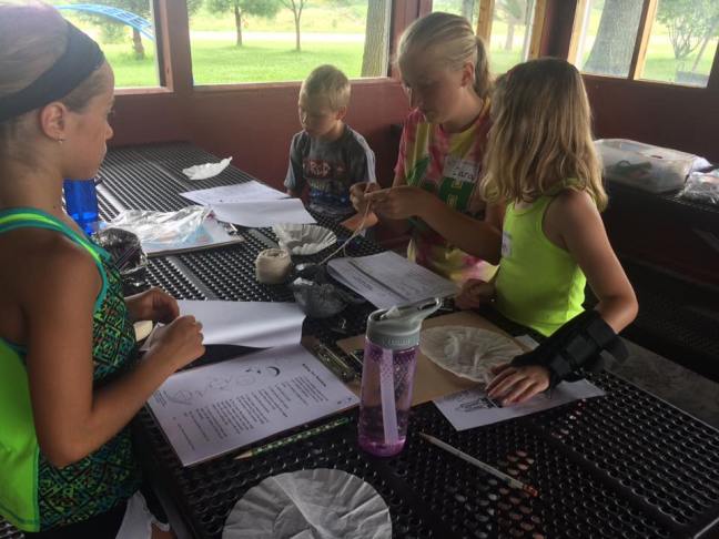 13680528_1116833375022593_7743765038341908260_n