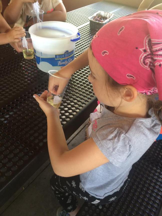 13886344_1126416844064246_80655483092399237_n