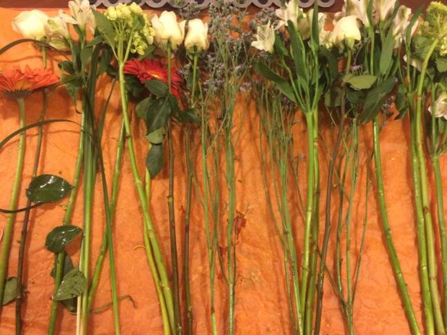 14641969_10209789445686554_1520827342762790476_n