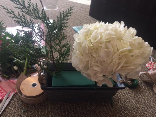 15317765_10210379037905991_2247855788884445457_n