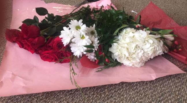 15327356_10210379040146047_8972621029735621685_n