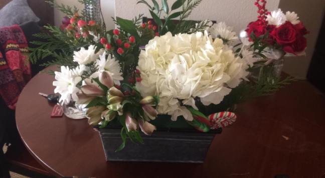 15356664_10210379037505981_5788698272267165290_n