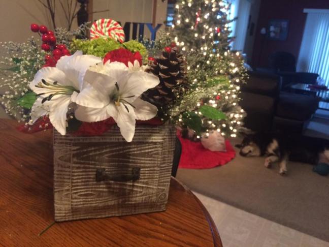 15622084_10210552783529523_2251461922132299706_n