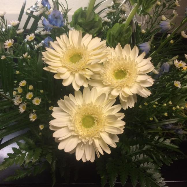 16681642_10211029825495274_7949418614546769936_n