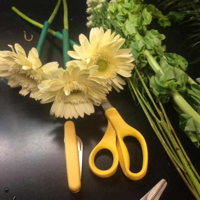 16684220_10211029826215292_1534566571397890266_n