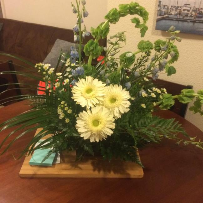 16684272_10211029824375246_7424832950832762353_n