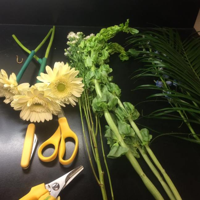 16730480_10211029825975286_4606481752237177075_n