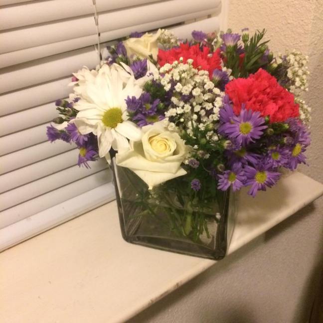 16831119_10211098314887466_6609359644182913860_n