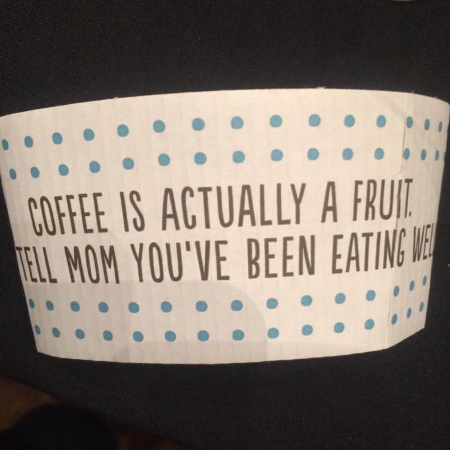 16864218_10211098311327377_4368642015607746484_n