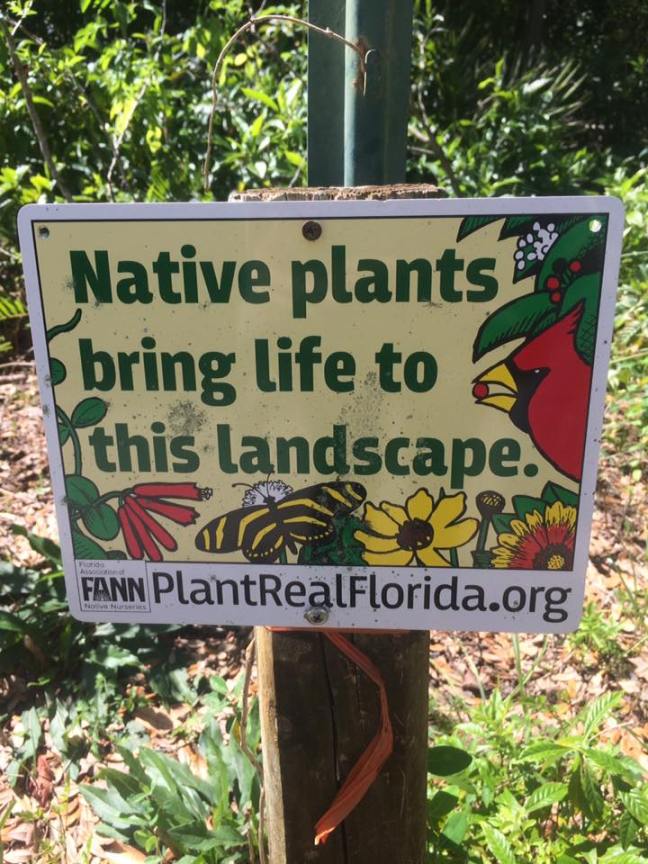 17352085_10211320634125308_1039351303671827863_n