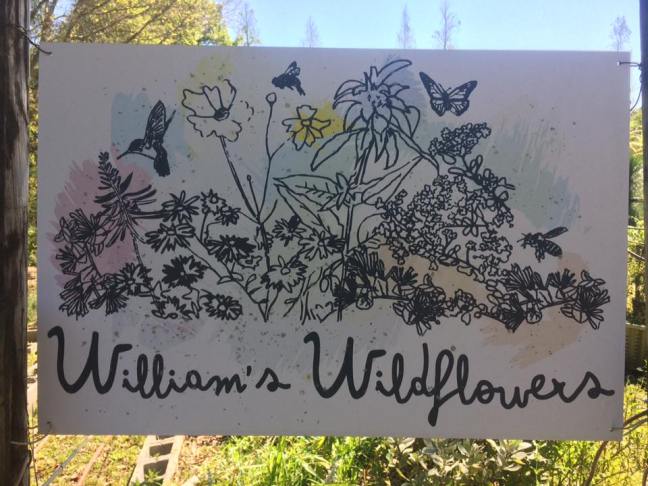 17362055_10211320634845326_6521324540406912965_n