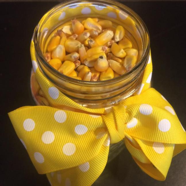 17523035_10211410185404034_6535133344655984235_n