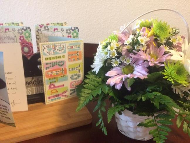 17522621_10211410186524062_294105830445966533_n