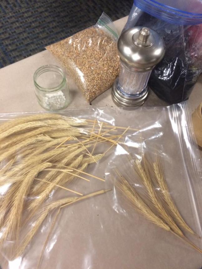 19510534_10212263000643882_3870928167725407681_n