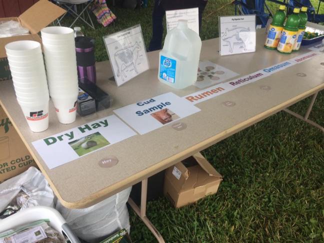 19601465_318804035214715_1667170819863327299_n