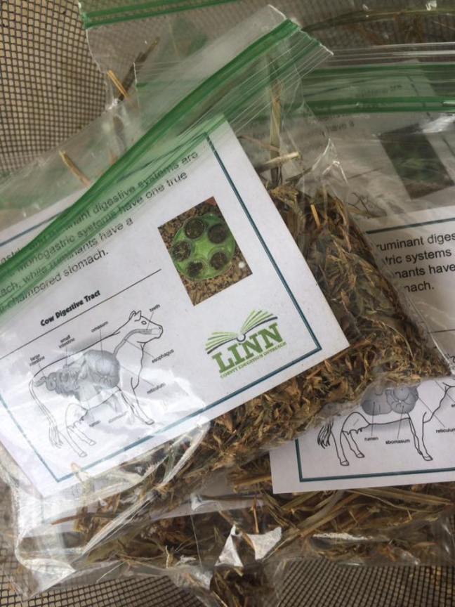 19642772_318804021881383_1120173332230509310_n