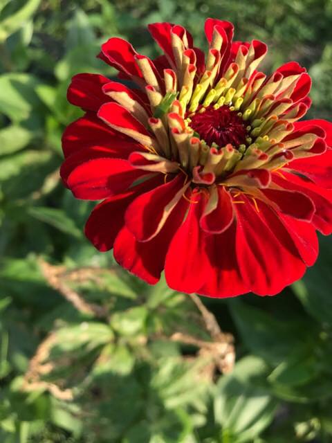 19665346_10212372631344581_1956501161618492057_n