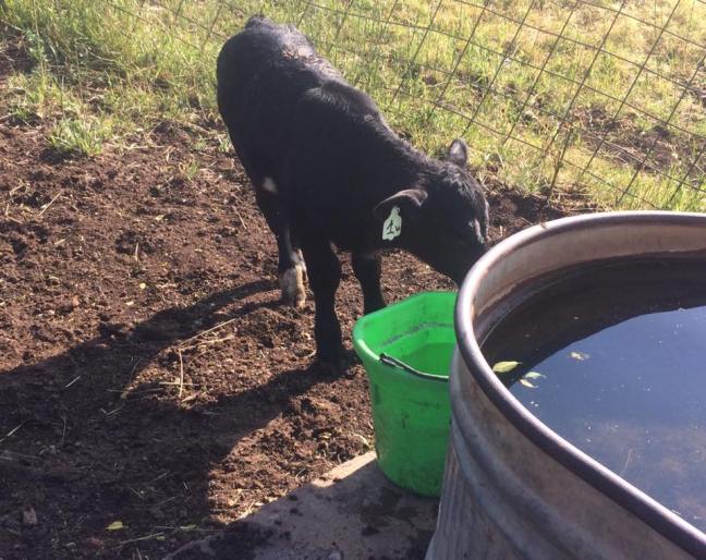 19665434_10212372630464559_7842598849611597549_n