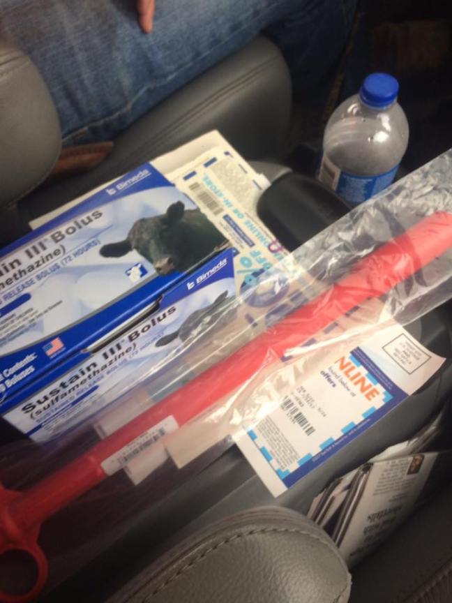 19748905_10212372630424558_7662090574905800853_n