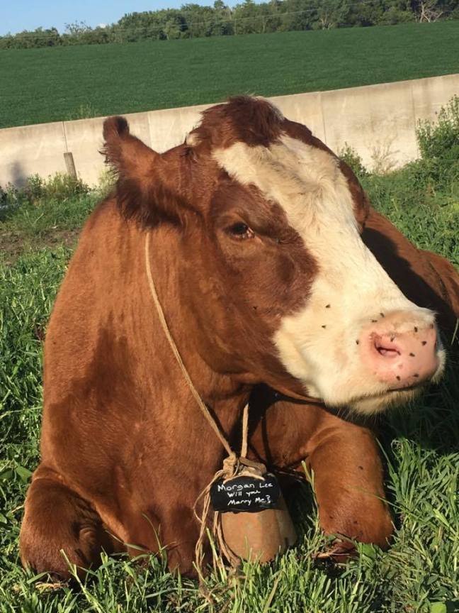 20561913_10208160615206925_669033595_n