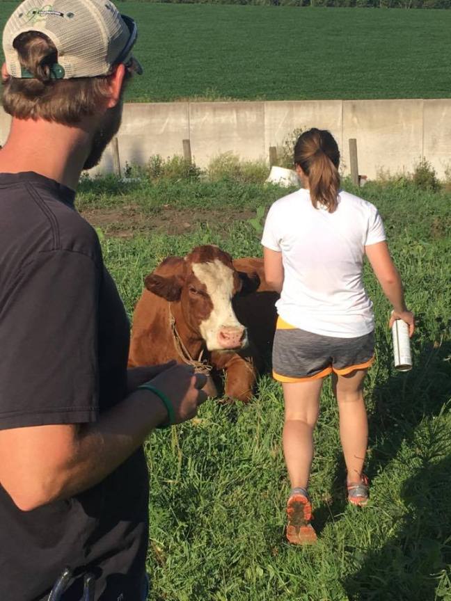 20562739_10208160584126148_1568764728_n (1)