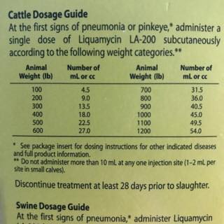 21078424_10212844189893250_5049003911021467255_n