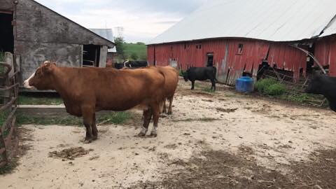 21078491_10212844191853299_9148621319296662538_n