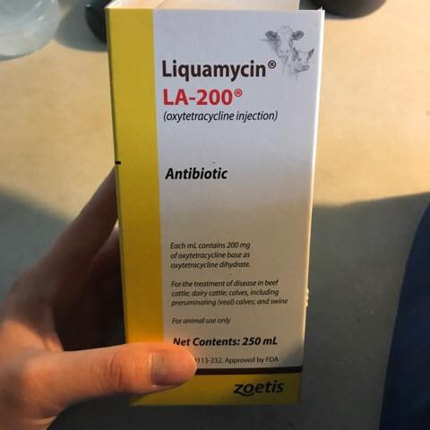 21106385_10212844189813248_3387073035191554549_n