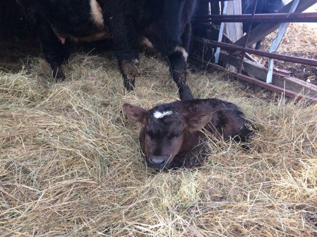 30442826_10214684959511340_6775199854470627328_n