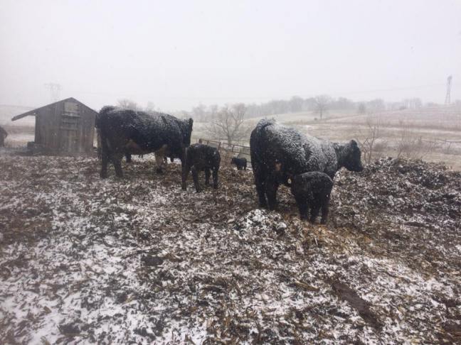 30530689_10214684955511240_3188444297322037248_n