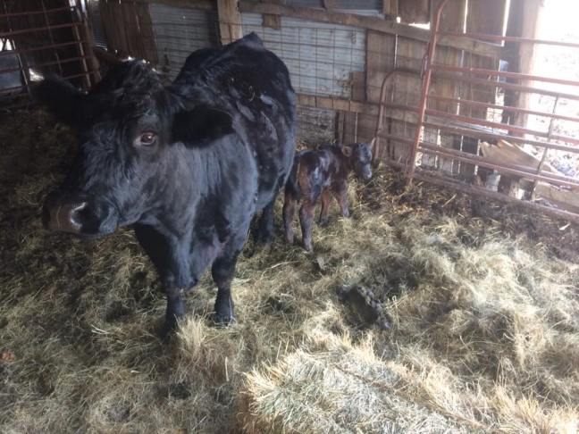 30582119_10214684961351386_8685692511361957888_n