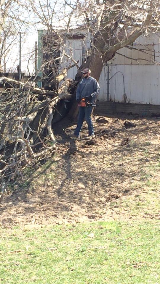 31507611_10210123402716280_6865276090445725696_n