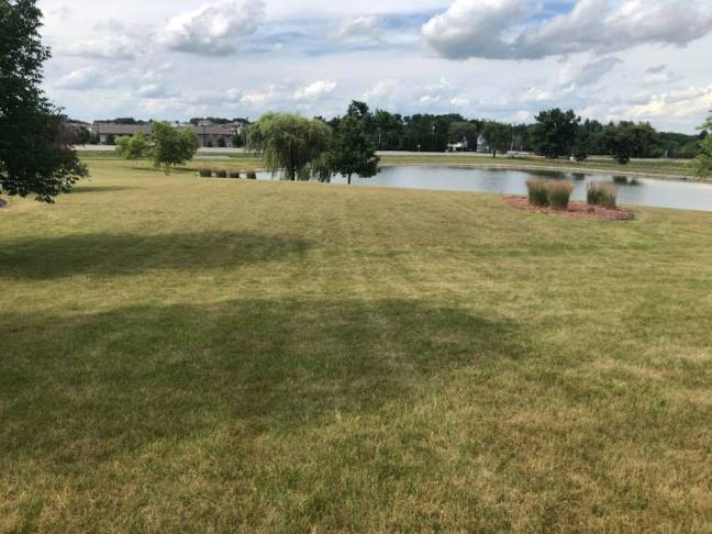 37608810_10215467479033839_3453549268176994304_n