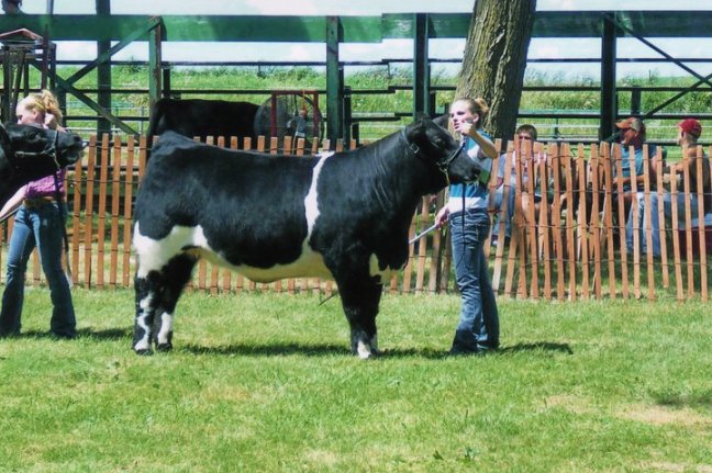 40191_1478674540542_4796954_n