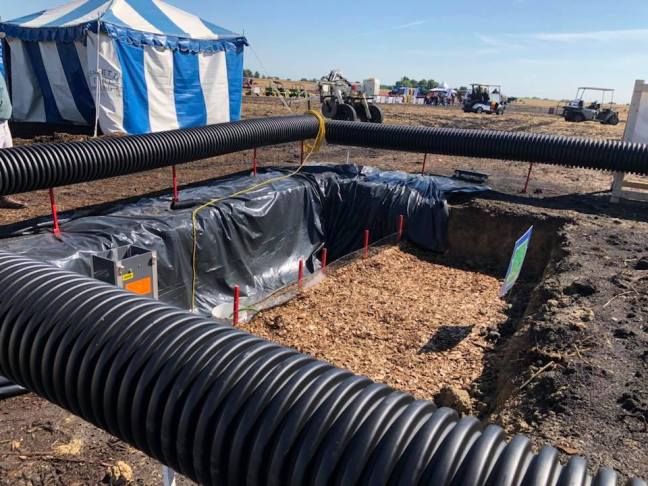 40435639_10215786796136567_8537422625327022080_n